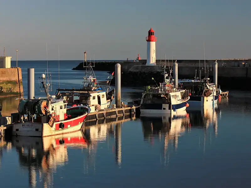 bateaux port de la Cotinière sur l'île d'Oléron